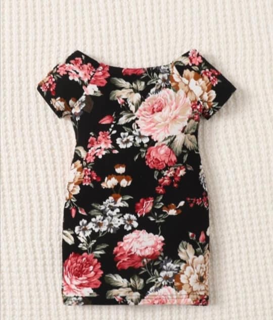 Baby Floral Print off Shoulder reglan Sleeves Shirt