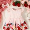 Pink Baby Floral Trim Pleated Dress