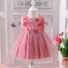 Pink Net Floral Dress