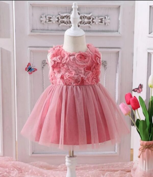 Pink Net Floral Dress