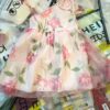 pink party wear frock