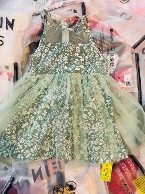 Net Green Frock